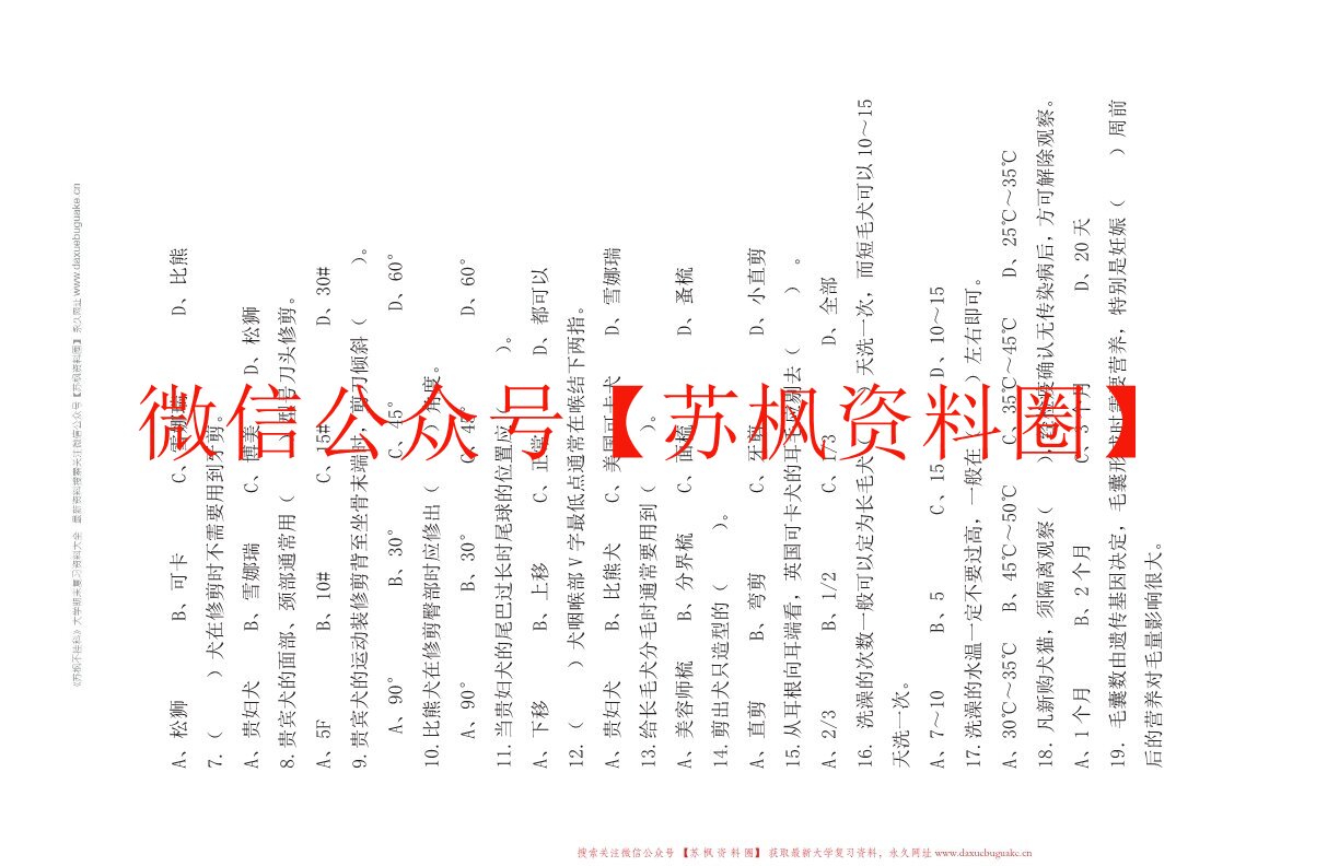 宠物美容
